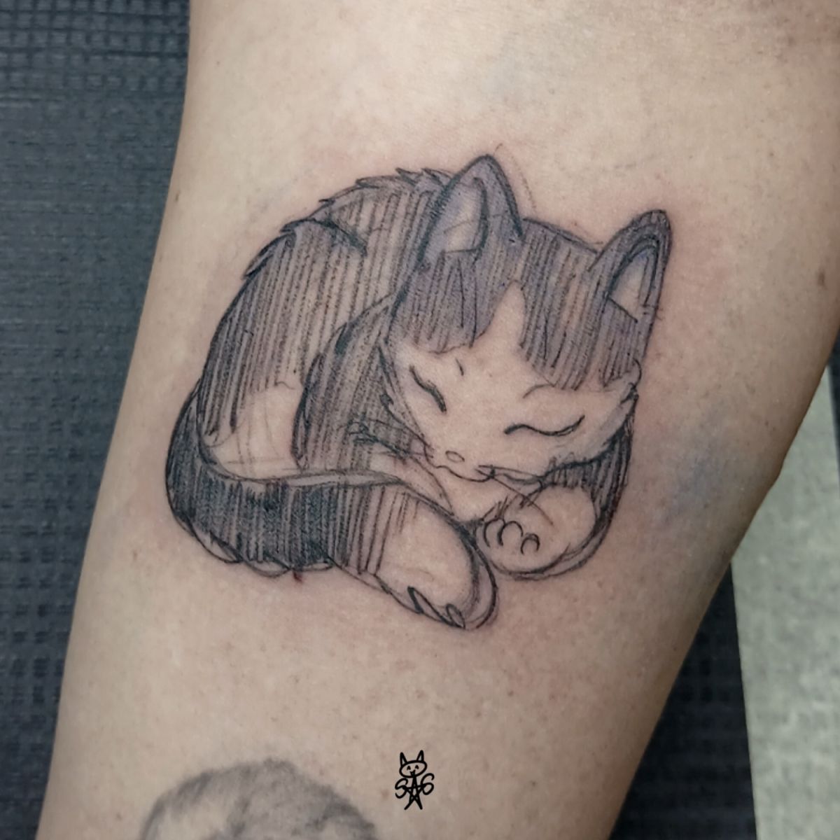 Mały tatuaż kotka wykonany w stylu szkicowym.